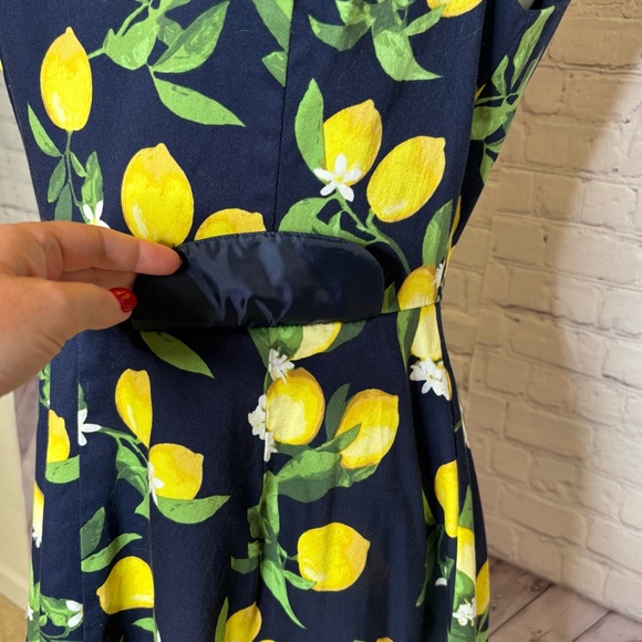 Be by Chetta B Navy Blue and Yellow Lemon Dress Size 10 - Picture 6 of 11